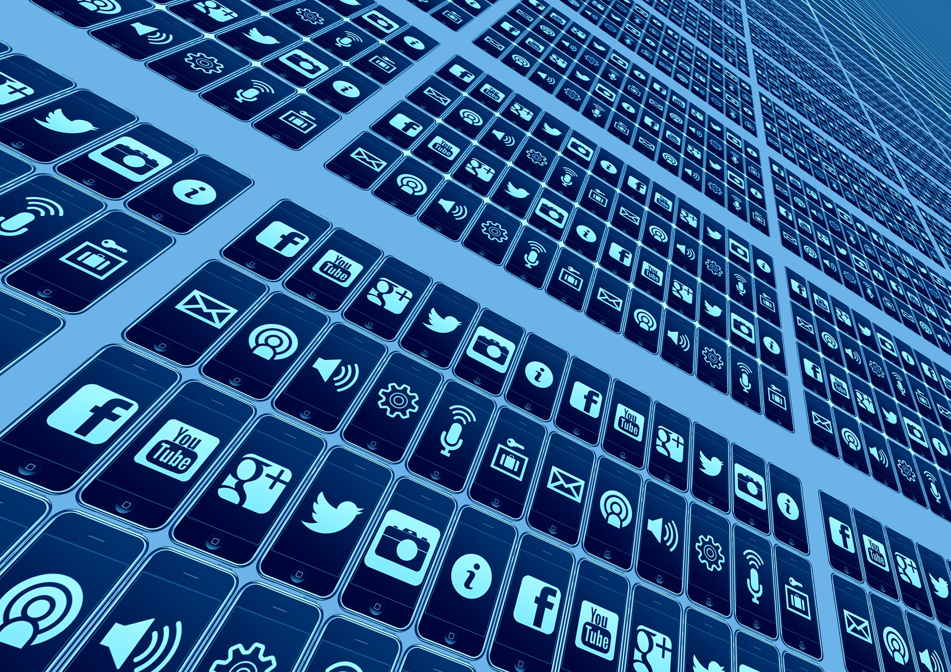 Social media management and content creation